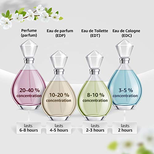Vanilla Perfume| The Sweet Scent of Elegance and Science. Dolce & Gabbana The One For Women. Eau De Parfum Spray