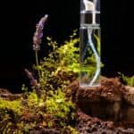 Top Picks for Best Natural Perfumes 2024